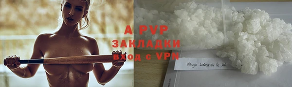 прущие грибы Надым
