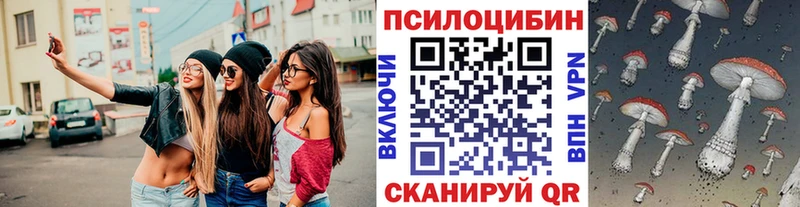 Галлюциногенные грибы Psilocybine cubensis  сайты даркнета какой сайт  Берёзовка  наркотики 